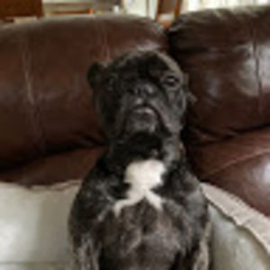 Meet your Posher, Claire